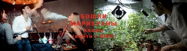 ешки Бронницы