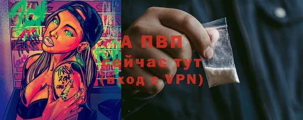 ешки Бронницы